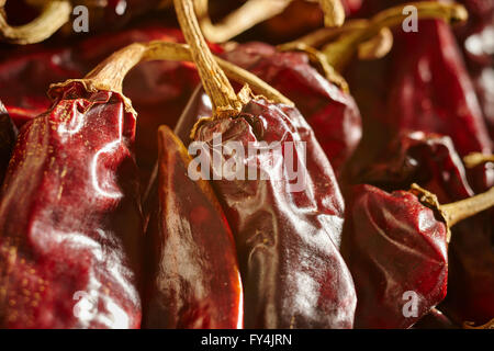 Getrocknete rote New Mexico Chile Hülsen. Auch genannt Anaheim Chilies. Stockfoto