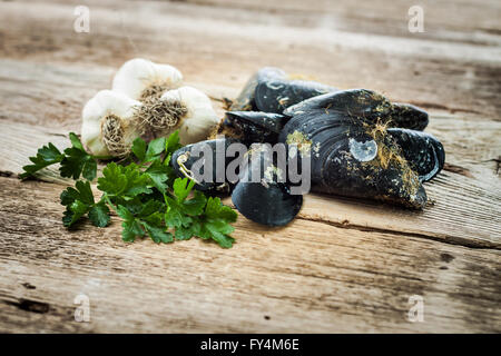 Roher Muscheln Knoblauch und Petersilie auf alten Holztisch hautnah Stockfoto