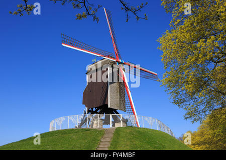 Saint John's Haus Mühle (1770) in Brügge, Belgien Stockfoto