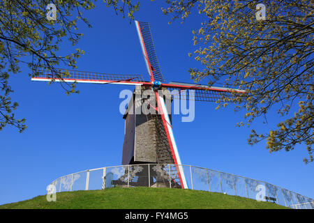 Saint John's Haus Mühle (1770) in Brügge, Belgien Stockfoto