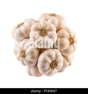 Knoblauch-bundle Stockfoto