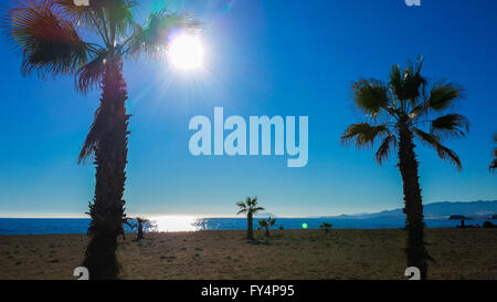 Einsamen Strand mit Palmen in Almeria, Spanien Stockfoto