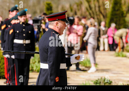 Feldwebel befiehlt, Soldaten aus der "Ulster die"Gunners"" im zeremoniellen Uniform. Stockfoto