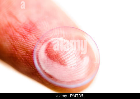 Eine Kontaktlinse auf der Fingerspitze bereit in ein Auge eingefügt werden soll. Stockfoto