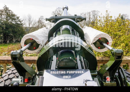 105mm Licht Feldgeschütz Haubitzen von der Royal Artillery mit Anweisungen "SALUTIEREN Zwecke nur" nicht für die Verwendung im Kampf Stockfoto