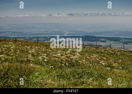 Schweiz, Jura, Blick von oben auf die Alpen Stockfoto