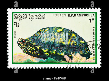 Briefmarke aus Kambodscha Darstellung einer gemeinsamen Kasten-Schildkröte (Terrapene Carolina) Stockfoto