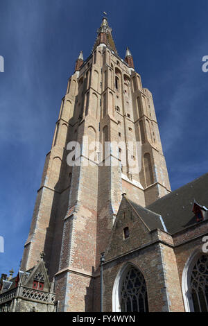 Renovierten Turm von der Heiligen Erlöser-Kathedrale (Sint-Salvatorskathedraal) in Brügge (Belgien) Stockfoto