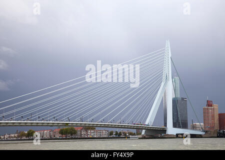 Erasmus-Brücke, Erasmusbrücke, ganz auf die Nieuwe Maas Fluss, Rotterdam, Holland, Niederlande Stockfoto