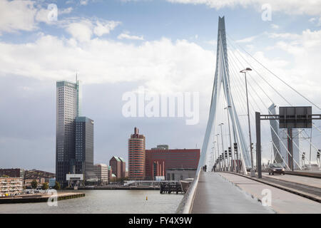 Skyline mit Erasmus-Brücke, Erasmusbrücke, über die Nieuwe Maas Fluss, Rotterdam, Holland, Niederlande Stockfoto