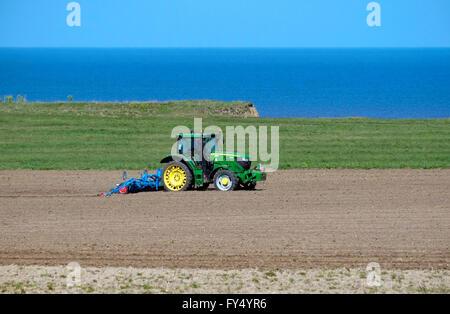 Traktor und Scheibenegge auf küstennahen Farm landen, Weybourne, North Norfolk, england Stockfoto