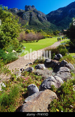 Besucher am Weg; Kirstenbosch National Botanical Garden; außerhalb von Kapstadt; Kap-Halbinsel; Südafrika Stockfoto