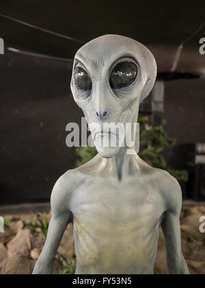 Alien Sie-Mannequin, UFO Museum, Roswell, New Mexico. Stockfoto