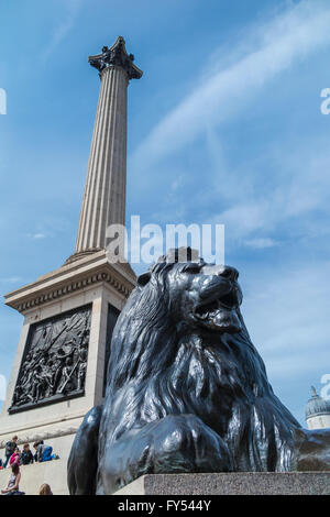 Kultige Löwenstatue Landseer und Nelson Säule in Trafalgar Square, London WC2, UK an einem sonnigen Tag mit blauem Himmel Stockfoto