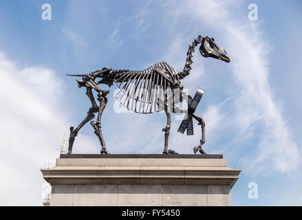 "Geschenkten Gaul", eine Skulptur von Hans Haake auf der Fourth Plinth in Trafalgar Square, London, WC2 UK Stockfoto