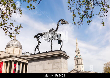 "Geschenkten Gaul", eine Skulptur von Hans Haake auf der Fourth Plinth in Trafalgar Square, London, WC2 UK in der Nähe der National Gallery Stockfoto