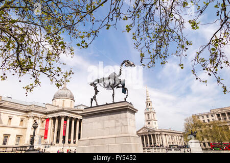 "Geschenkten Gaul", eine Skulptur von Hans Haake auf der Fourth Plinth in Trafalgar Square, London, WC2 UK in der Nähe der National Gallery Stockfoto