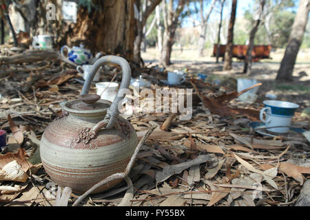 Tassen in einem Wald in der Nähe von Albury - Australien Stockfoto