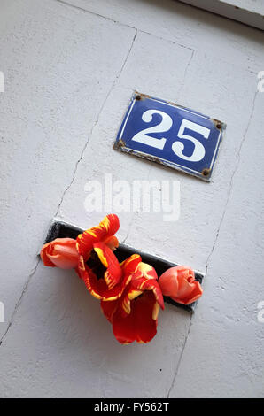 Blumen im Briefkasten auf Nummer 25 Stockfoto