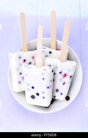Hausgemachte Eis am Stiel aus Joghurt, Heidelbeere und schwarze Johannisbeere Stockfoto