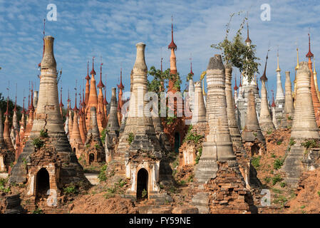 Shwe Inn Thein Paya, Pagode Komplex, Hunderte von zerstörten buddhistischen Stupas in das Dorf Inthein, Indein, Myanmar Stockfoto