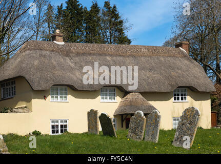 Charmantes Reetdachhaus in Dorchester Road, Tolpuddle mit Grabsteinen im Friedhof von St. Johns Church, Dorset im April Stockfoto