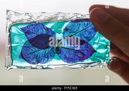 Lollypop mit Insekten (Schmetterling) innen Stockfoto