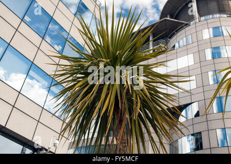 Barbirolli Platz Manchester Stockfoto