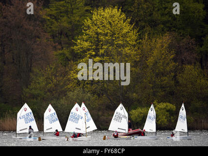 Potsdam, Deutschland. 23. April 2016. Segelboote der Optimisten-Klasse während der 50. Kinder und Jugend Regatta am Templiner See in Potsdam, Deutschland, 23. April 2016. Foto: RALF HIRSCHBERGER/Dpa/Alamy Live News Stockfoto