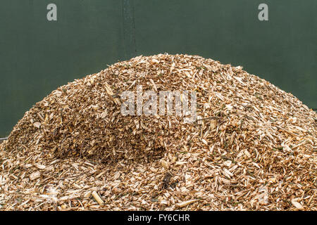 Hügel aus Holzspänen Rinde als Mulch auf einem Garten Blumenbeet oder Grenze verwendet werden. Stockfoto