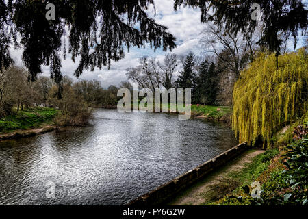 Am Ufer des Flusses Wye 5 Meilen stromaufwärts von Hereford sind sehr nett und malerisch. Stockfoto