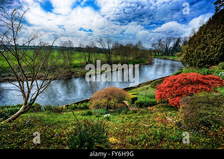 Am Ufer des Flusses Wye 5 Meilen stromaufwärts von Hereford sind sehr nett und malerisch. Stockfoto