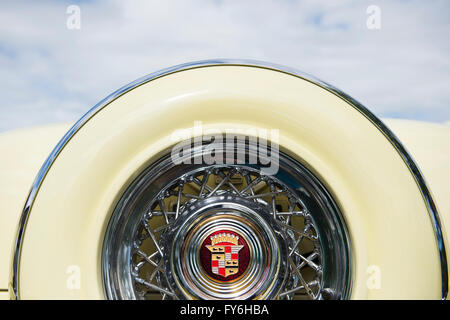 1954 Cadillac Eldorado Convertible Auto Reserverad Abdeckung Heck-detail Stockfoto