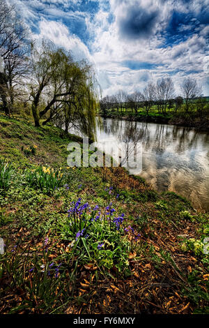 Am Ufer des Flusses Wye 5 Meilen stromaufwärts von Hereford sind sehr nett und malerisch. Stockfoto