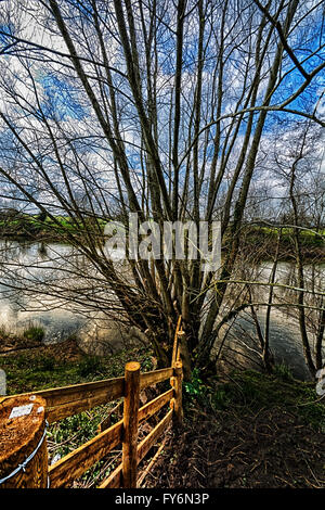 Am Ufer des Flusses Wye 5 Meilen stromaufwärts von Hereford sind sehr nett und malerisch. Stockfoto