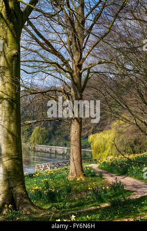 Am Ufer des Flusses Wye 5 Meilen stromaufwärts von Hereford sind sehr nett und malerisch. Stockfoto