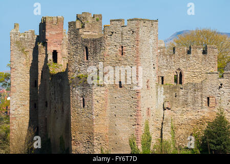 Die Außenwände des Ludlow Castle gesehen von Whitcliffe häufig in Shropshire, England, UK. Stockfoto