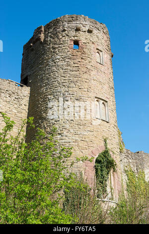 Mortimers Turm in Ludlow Castle in Shropshire, England, Vereinigtes Königreich. Stockfoto