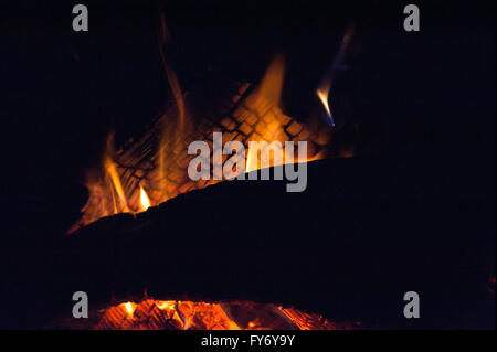 Loderndes Feuer in einem Holzofen Stockfoto