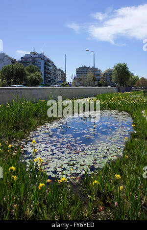 Der Garten des Wasser-Freizeitpark und einem Teich voller Seerosen in Thessaloniki die neue Promenade. Zentral-Makedonien, Griechenland Stockfoto