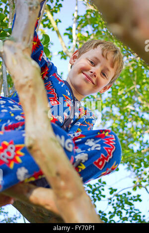 Kleiner Junge oben in einem Baum Stockfoto