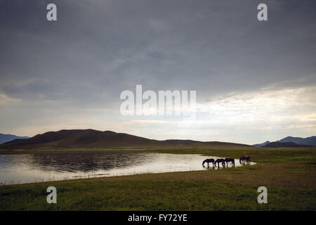 Sommer-Berglandschaft Stockfoto