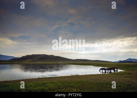 Sommer-Berglandschaft Stockfoto