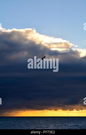 schwere Wolken über das Meer in Hove East Sussex UK Stockfoto