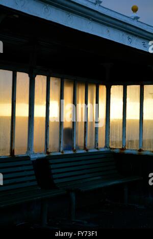 Strandmuschel an Hove Küste East Sussex UK Stockfoto