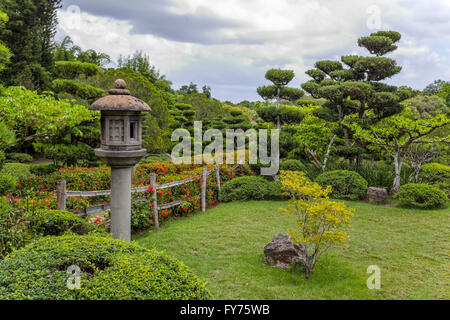 Japanischer Garten im Jardin Botanico National Dr. Rafael María Moscoso, nationale botanische Garten, Santo Domingo Stockfoto