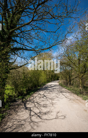 Baum Schatten auf einen Feldweg in hellen Frühlingssonne. In der Nähe der römischen Seen an der Miss Marple in England übernommen. Stockfoto