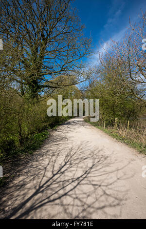 Baum Schatten auf einen Feldweg in hellen Frühlingssonne. In der Nähe der römischen Seen an der Miss Marple in England übernommen. Stockfoto