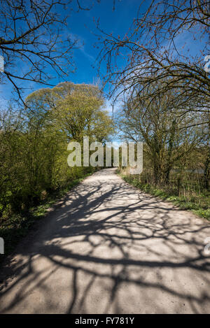 Baum Schatten auf einen Feldweg in hellen Frühlingssonne. In der Nähe der römischen Seen an der Miss Marple in England übernommen. Stockfoto