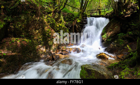 Langzeitbelichtung von den Cabreia-Wasserfall (Cascata da Cabreia), Serra da Cabrera, Sever Vouga, Portugal Stockfoto